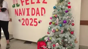 ALESANDRA BONILLA   papa noel solidario