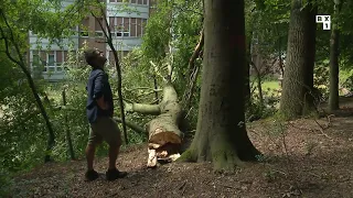 Après les violents orages, déblayage et sécurisation dans les parcs