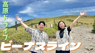 [Scenic Drive] From Kirigamine to Shirakaba Lake! A highland driving route in Shinshu [Iino! Lake...