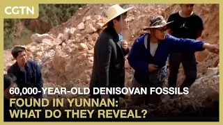 160,000-year-old Denisovan fossils found in Yunnan: What do they reveal?