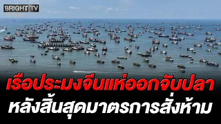 China Kicks Off Fishing Season! Thousands of Fishing Boats Head to the South China Sea Following ...
