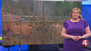 Grand Island land project draws strong local leader reactions