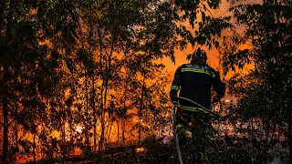 UHAPŠENI PIROMANI U HRVATSKOJ: Zbog OPASNOG ZLOČINA mogli bi i u zatvor!