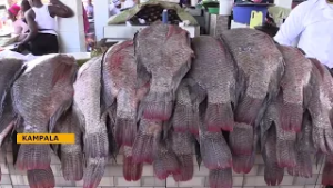 Ebikulu Mu Lipoota: Enkola ya PDM n’Okulonda Kw’omu NRM Bikubiddwa Ko Eriiso