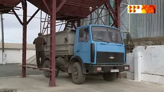 Агроөнеркәсіп қарқыны
