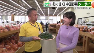 【ベジ得】中国が原産の葉物野菜「ターサイ」