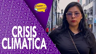 Climate Crisis | Prevention Measures at Home