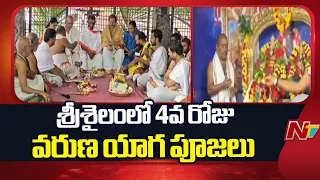 Srisailam Varuna Yagam: ఇవాళ శ్రీశైలంలో 4వ రోజు వరుణ యాగ సహస్ర ఘటాభిషేక పూజలు | NTV Telugu