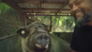 St. Croix A Vibe Like No Other | Visit USVI