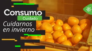 Consumo cuidado | Claves para fortalecer el organismo durante el invierno