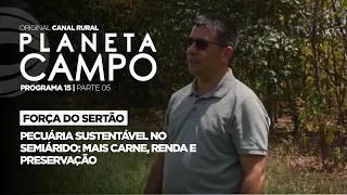 Sustainable Livestock in the Semi-Arid Region: More Beef, Income, and Preservation | Planeta Camp...