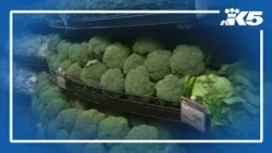 New report says most imported produce is not inspected