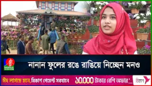 নরসিংদীতে বাহারি রঙের ফুলের মনোরম দৃশ্যে মুগ্ধ পর্যটকরা