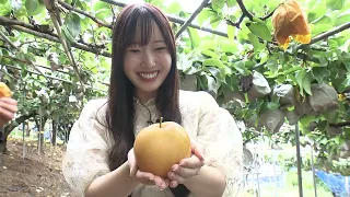 RNC news every. [Chugoku-Shikoku Seasonal Collection] An Autumn That Never Fades Through the Year...