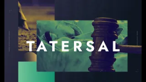 TATERSAL - 12/02/2026