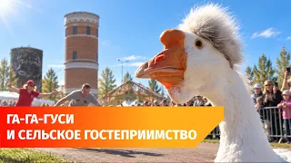 Goose races in the Orenburg region brought 8,000 people together. Even a Bashkir goose raced