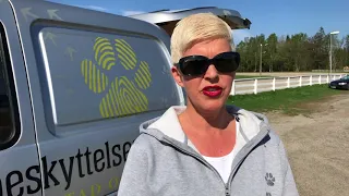 AMCAR Sarpsborg veldedighetscruise for dyrebeskyttelsen Fredrikstad og omegn