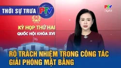 Phu Tho News Noon 10/30/2026 | Clarifying Responsibilities in Site Clearance