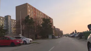 VÝRUB STROMOV A VÝSADBA NOVÝCH STROMOV