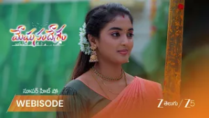 MEGHASANDESAM | భూమి చేతుల మీదుగా పసుపు దంచే కార్యక్రమం