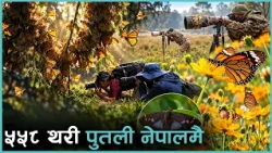 नेपालमा कतिथरी पुतली पाइन्छन् ?