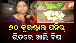 70 Quintals of Adulterated Paneer Seized in Cuttack, Worth Around ₹17 Lakh