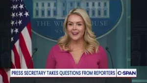 "I can't guarantee that an ICE agent won't be around a polling location in November..."