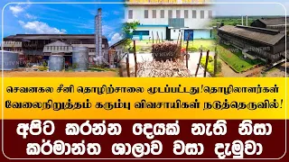 செவனகல சீனி தொழிற்சாலை மூடப்பட்டது!தொழிலாளர்கள்  வேலைநிறுத்தம் கரும்பு விவசாயிகள் நடுத்தெருவில்!