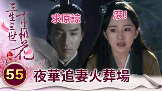 追妻火葬場！女帝恢復前世記憶要退婚 高冷太子在大雨中苦等7天7夜 只為求得老婆原諒【三生三世十里桃花】精華 EP55-6 楊冪、趙又廷、迪麗熱巴、高偉光、張智堯 @ctvdrama_classic