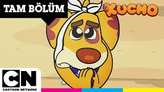 Karga Tulumba | KUCHO | TAM BÖLÜM | @cartoonnetworkturkiye