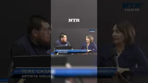 Teresa Casas, Artista Visual