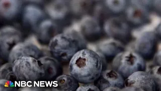FDA upgrades frozen berry recall to highest risk level
