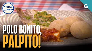 Polo BONITO, PALPITO! | A VOLTAS CO PRATO