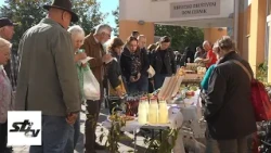 SBTV - DNEVNIK - "DANI CERNIČKOG PORTUGISCA" I IZLOŽBA "SAČUVAJMO STARE SORTE" - 19.10.2026.