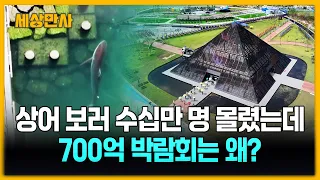 상어 보러 수십만 명 몰렸는데…700억 박람회는 왜? [세상만사] #부캉이 #부산 #상어 #여수섬박람회 #관람객