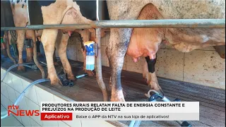 Rural producers report constant power outages and losses in milk production