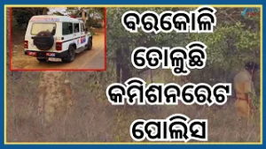 Bhubaneswar Police: ରାସ୍ତାରେ ଜିପ୍ ରଖି କମିଶନରେଟ ପୋଲିସର ଚାଲିଛି ବରକୋଳି ତୋଳା...ଭିଡିଓ ହେଲା ଭାଇରାଲ