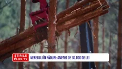 NEREGULI ÎN PĂDURI: AMENZI DE 20000 DE LEI