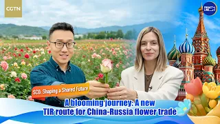 Faster logistics are bringing Yunnan flowers to Russia