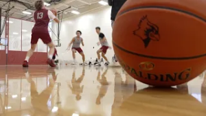 De Pere Redbirds earn No. 1 seed at state, eye fifth straight FRCC crown