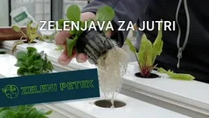 Zeleni petek | Zelenjava za jutri
