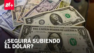 Dollar remains at 18 pesos due to pressure in the foreign exchange market