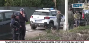 SRV CAPACCIO PAESTUM, ALLIGATORE