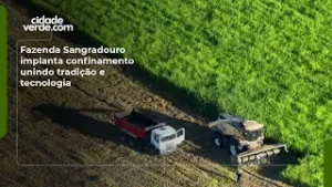 Fazenda Sangradouro implanta confinamento unindo tradição e tecnologia