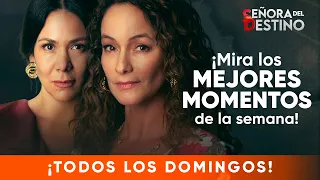 SEÑORA DEL DESTINO | Los mejores momentos de la semana (10 - 14 agosto) | América