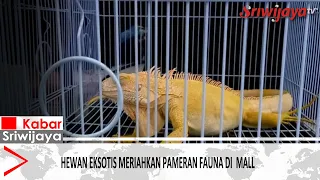 Exotic Animals Enliven Fauna Exhibition at the Mall