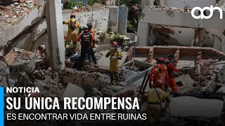 No pay, no fame: this is how those who search for survivors work