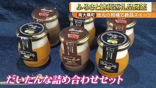 【地元の柑橘で絶品スイーツ】南大隅町のたんかんと辺塚だいだいを使った手作りスイーツ「だいたんな詰め合わせセット」～ふるさと納税返礼品図鑑・南大隅町～