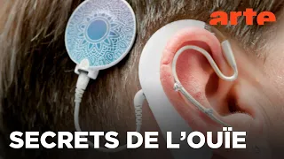 Les mécanismes de l’audition | Documentaire | ARTE