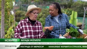 МЛАДИ ФЕРМЕРИ: В Брюксел пишат нова стратегия с по-ясни правила